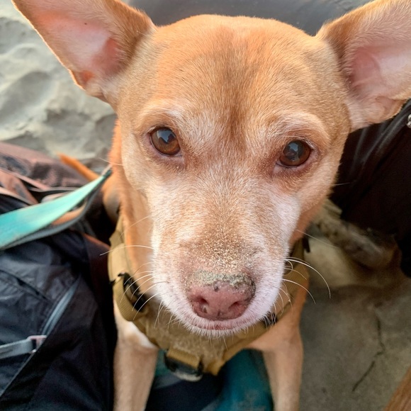 Meet your Posher, Jen - Picture 1 of 1